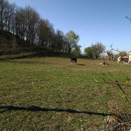 Gospodarstwo agroturystyczne 